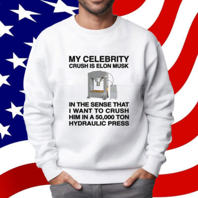 My Celebrity Crush Is Elon Musk Shirt