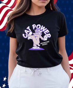 Northwestern Wildcats baseball cat power Shirt