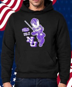 Northwestern Wildcats baseball hail to purple hail to white Shirt