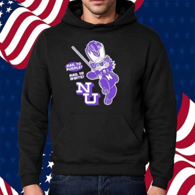 Northwestern Wildcats baseball hail to purple hail to white Shirt