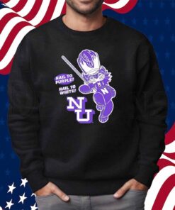 Northwestern Wildcats baseball hail to purple hail to white Shirt