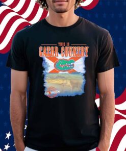 This is Florida Gators Swimming Gator Shirt
