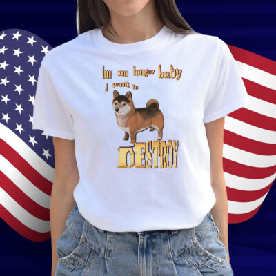 I'm No Longer Baby I Want To Destroy Shirt