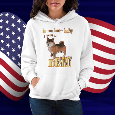 I'm No Longer Baby I Want To Destroy Shirt