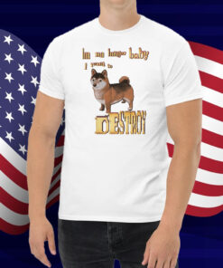 I'm No Longer Baby I Want To Destroy Shirt