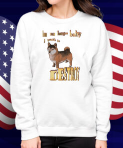 I'm No Longer Baby I Want To Destroy Shirt