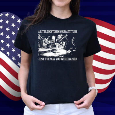 The Menzingers A Little Boston In Your Attitude Just The Way You Were Raised T-Shirt
