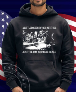 The Menzingers A Little Boston In Your Attitude Just The Way You Were Raised T-Shirt