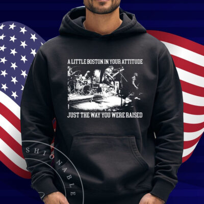 The Menzingers A Little Boston In Your Attitude Just The Way You Were Raised T-Shirt