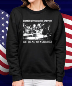 The Menzingers A Little Boston In Your Attitude Just The Way You Were Raised T-Shirt