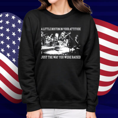 The Menzingers A Little Boston In Your Attitude Just The Way You Were Raised T-Shirt